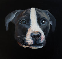Load image into Gallery viewer, Custom Painted Pet Portrait headshot 10x10 canvas