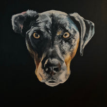 Load image into Gallery viewer, Custom Painted Pet Portrait headshot 10x10 canvas